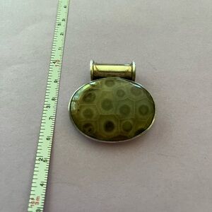 Sterling silver petoskey stone pendant